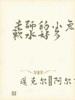 老师的小兔子好软水好多封面