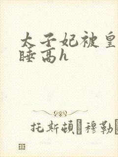 太子妃被皇上强睡高h