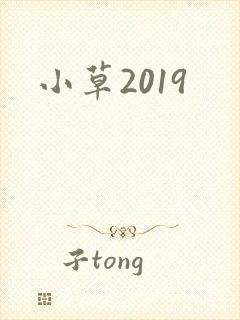 小草2019封面