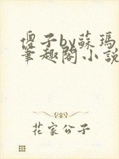 傻子by苏玛丽笔趣阁小说