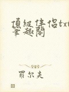 顶级伴侣txt笔趣阁