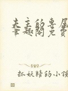 夫主的专属妻奴笔趣阁免费阅读