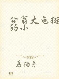 公翁大龟挺进我的小封面