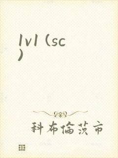 1v1 (sc)