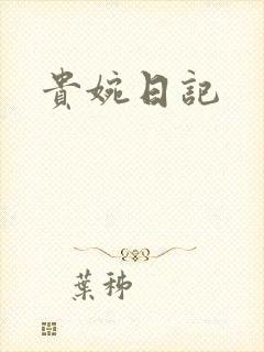 贵婉日记