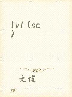 1v1 (sc)
