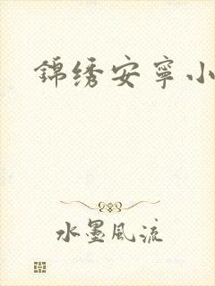 锦绣安宁小说