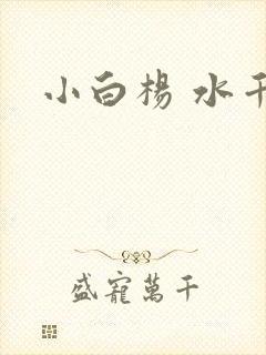 小白杨 水千丞封面