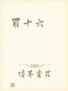 罗十六