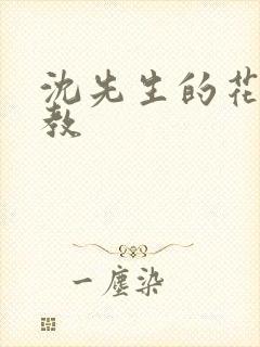 沈先生的花式管教