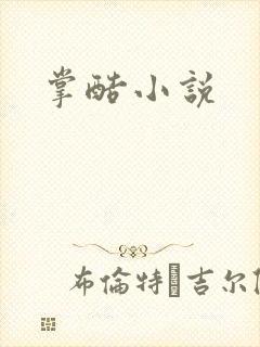 掌酷小说封面