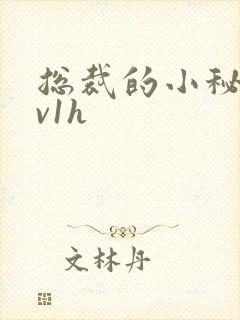 总裁的小秘书1v1h