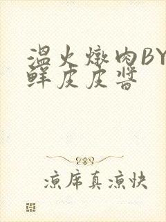 温火炖肉BY海鲜皮皮酱