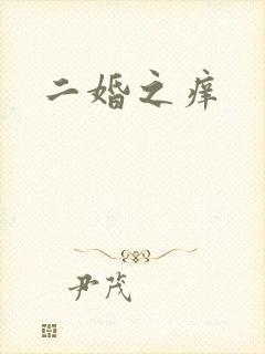 二婚之痒封面
