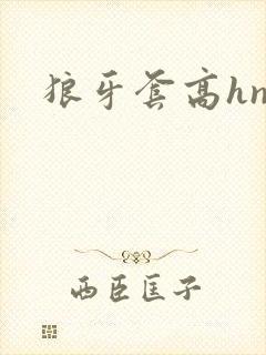 狼牙套高hnp