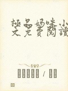 极品妈咪小说全文免费阅读