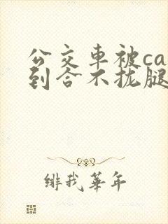 公交车被cao到合不拢腿视频封面