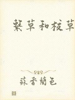 系草和校草