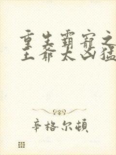 重生霸宠之摄政王爷太凶猛