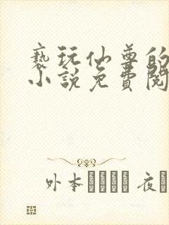 亵玩仙尊的道侣小说免费阅读