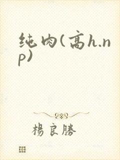 纯肉(高h.np)