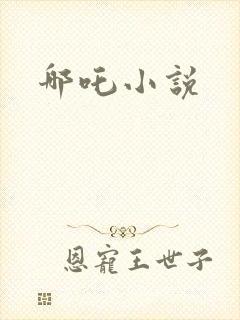 哪吒小说