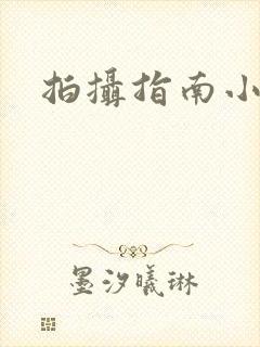 拍摄指南小说