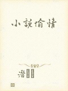 小说偷情