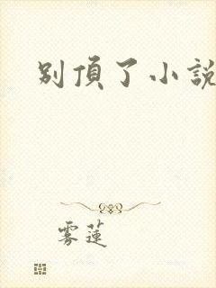别顶了小说
