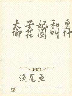 太子妃和皇帝在御花园叫什么小说