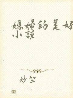 媳妇的美好时代小说封面