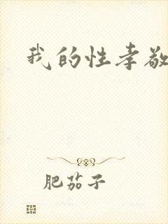 我的性孝敬封面