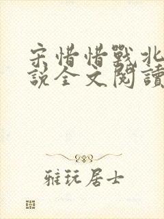 宋惜惜战北望小说全文阅读