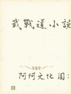 武战道小说