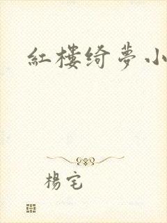 红楼绮梦小说