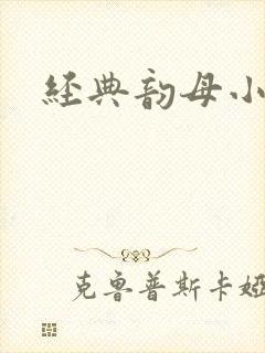 经典韵母小说