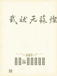 武状元苏灿