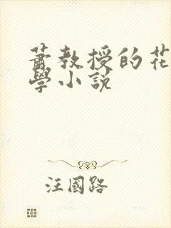 萧教授的花式教学小说