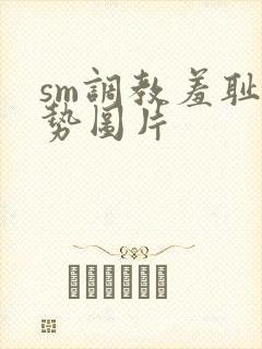 sm调教羞耻姿势图片封面