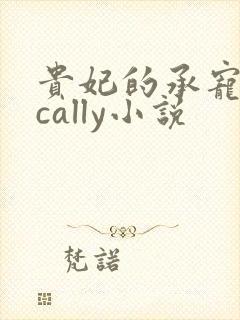 贵妃的承宠日常cally小说