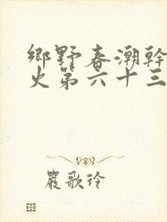 乡野春潮干柴烈火第六十三章