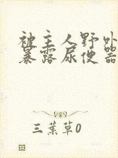 被主人野外调教暴露尿便器