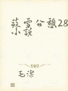 苏雪公憩28篇小说封面