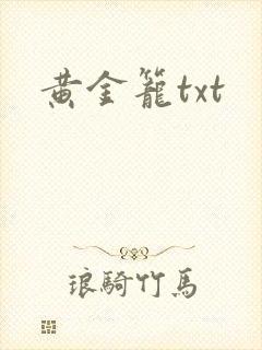 黄金笼txt
