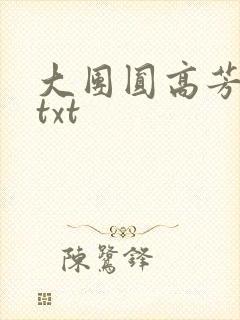 大团圆高芳小说txt