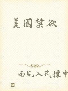美国禁欲