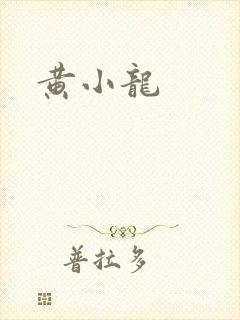 黄小龙封面