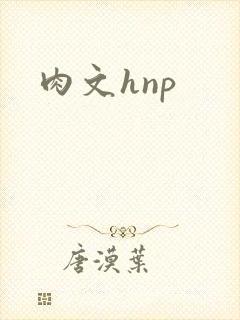 肉文hnp
