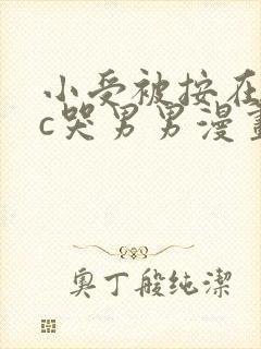 小受被按在墙上c哭男男漫画封面