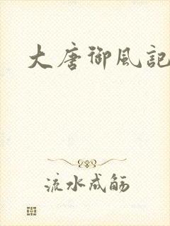大唐御风记封面